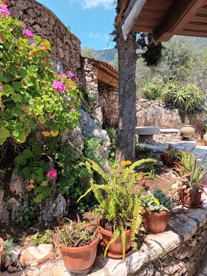 Aphrodite'S Maisonette On Corfu Island Mparmpati Eksteriør billede